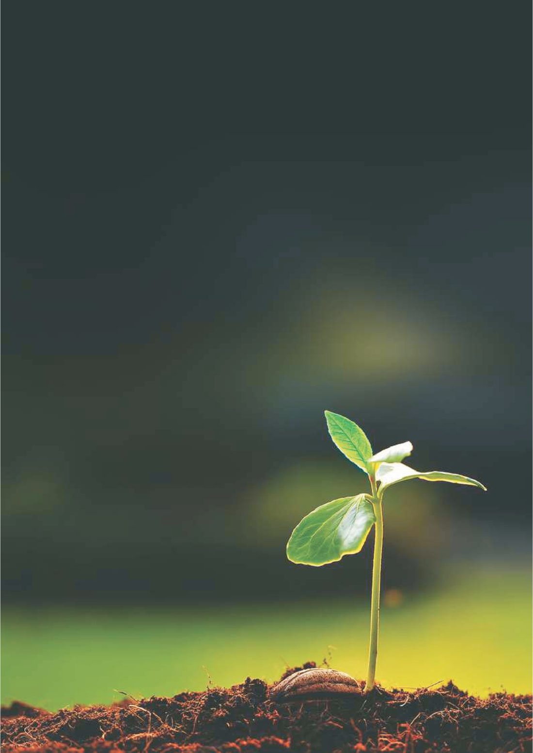 SGM Enviro (India) Pvt. Ltd. — sustainable environmental consultancy